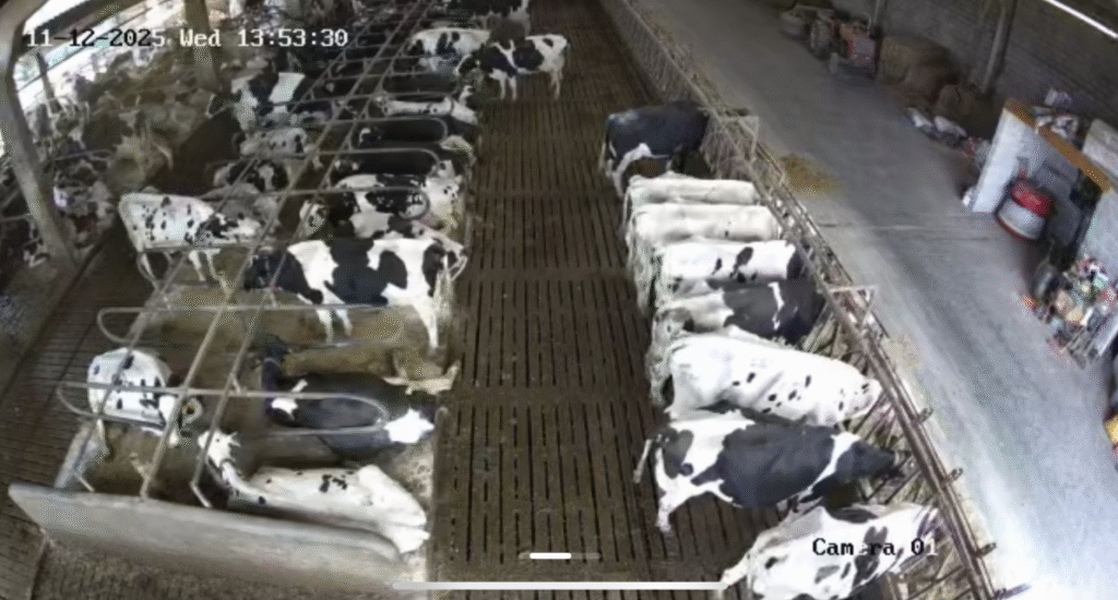 videovigilancia nave ganadera en cantabria