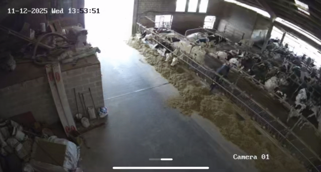 videovigilancia nave ganadera en cantabria