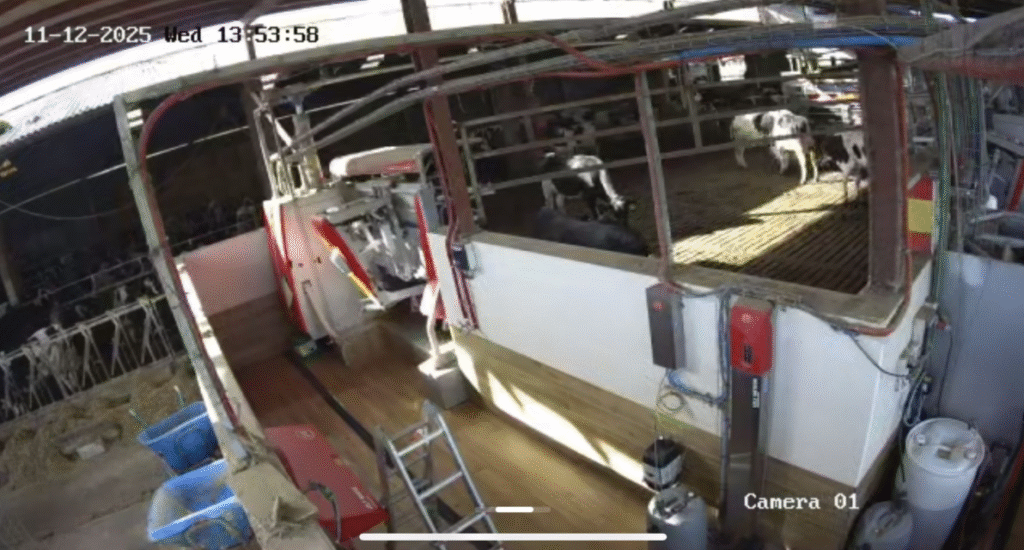 videovigilancia nave ganadera en cantabria