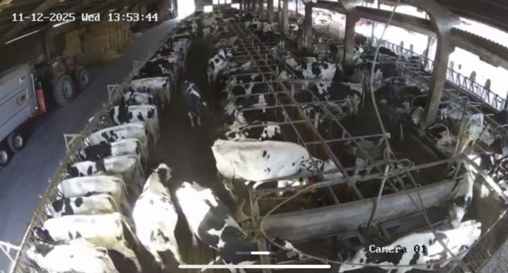 videovigilancia nave ganadera en cantabria